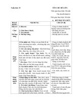 giáo án phụ tuần 33. chủ đề quê hướng đất nước Bác Hồ. Nhánh 