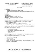 Nội dung ôn tập các môn khối 9 tuần 9