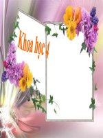 Khoa học 4 - Tuần  31 - Trao đổi chất ở động vật