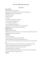 Tải Tập làm văn lớp 5: Tả cảnh buổi sáng trong vườn cây -  Tuyển tập 6 bài văn mẫu hay lớp 5