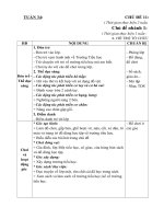 GIÁO ÁN TUẦN 34: TRƯỜNG TIỂU HỌC