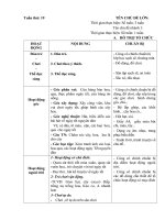 Tuần phụ 19: tết nguyên đán