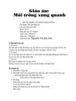 KPKH: Một số con vật sống trong rừng