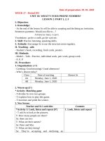 GIÁO ÁN TIẾNG ANH LỚP 4 - TUẦN 27