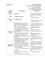 Giáo án phụ tuần 29: Một số PTGT đường sắt đường thủy Hàng không