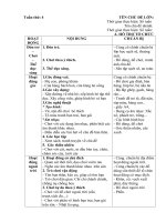 giáo an phụ tuần 4. chủ đề 