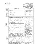 giáo an phụ tuần 18. Chủ đề 