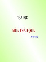 Tiếng Việt 5 - Tuần 12 - Tập đọc - Mùa thảo quả