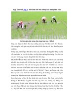 Tải Tập làm văn lớp 5: Tả hình ảnh bác nông dân đang làm việc -  Bài văn mẫu miêu tả lớp 5