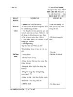 TUẦN 12 PHỤ: ĐỒ DÙNG GIA ĐÌNH