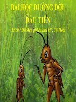 BÀI 18: BÀI HỌC ĐƯỜNG ĐỜI ĐẦU TIÊN (TRÍCH: DẾ MÈN PHƯU LƯU KÍ)