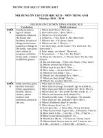 Nội dung ôn tập cuối học kỳ II năm học 2018 - 2019 môn Tiếng Anh