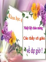 Khoa học 4 - Tuần 7 - Phòng chống một số bệnh qua đường tiêu hóa