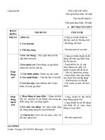 giáo án phụ tuần 8 Gia đình bé