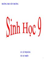 Bài 17 Mối quan hệ giữa gen va ARN