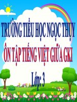 ÔN TẬP GIỮA HKI- TIẾNG VIỆT- TIẾT 8