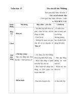 giáo án tuần 13- Bác sĩ- 2018-2019