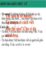 nghĩa của từ  thcs đô thị việt hưng