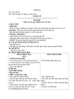 GIÁO ÁN TUẦN 12 - CHIÊM 2C