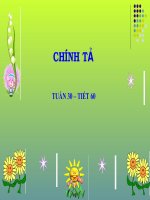 Chính tả  3- Tuần 30 - Bài:  Một mái nhà chung