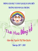 Lĩnh vực PTNN .Bài thơ: Hoa đồng hồ. Lứa tuổi MGN