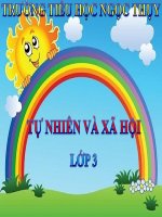 TNXH 3- TUẦN 28- TRÁI ĐẤT,QUẢ ĐỊA CẦU- SỰ CHUYỂN ĐỘNG CỦA TRÁI ĐẤT