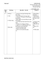 Tuần 3: Tết trung thu