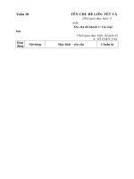 Giáo án chính tuần 18 :Các loại hoa quả bánh kẹo ngày tết : năm học 2020 - 2021