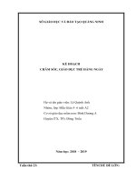 TUẦN 23: MỘT SỐ LOÀI HOA QUẢ