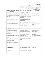 Giáo án tuần 34: Trường tiểu học