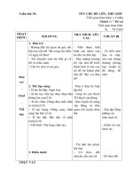 Tuần 19:BÉ VUI ĐÓN TẾT