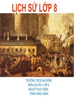 Tiet9_Chude_Cac van de ve cach mang tu san thoi can dai(T)_Cach mang tu san Phap-cuoc cach mang tu san triet de nhat_TranHongHanh_Lichsu8