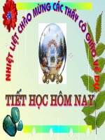 TIẾT 23 : CÔNG DÂN NƯỚC CỘNG HÒA XÃ HỘI CHỦ NGHĨA VIỆT NAM