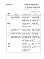 Kê hoạch giáo dục tuần 9- Năm học 2018- 2019