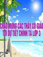CHÍNH TẢ 3 - TUẦN 21 - NHỚ VIẾT BÀN TAY CÔ GIÁO