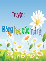 Truyện Bông Hoa Cúc Trắng