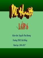 Tuần 23-MT6-CD7 tiết 23- Tìm hiểu về tranh dân gian VN-N.Hương