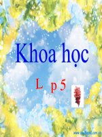 KH5-Tuần 6-Phòng bệnh sốt rét