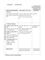 Giáo án tuần 21 chủ đề