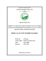 Nghiên cứu một số đặc điểm lâm học loài cây nghiến gân ba (excentrodendron tonkinensis) tại xã vũ chấn, huyện võ nhai, tỉnh thái nguyên​  