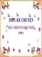 KỂ CHUYỆN 1- TUẦN 29- NIỀM VUI BẤT NGỜ