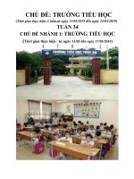 Giáo án tuần 34: Chủ đề 