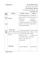 GIÁO ÁN TUẦN 12- NGHỀ PHỔ BIẾN