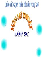 Giáo án Mĩ Thuật Khối 5- chủ đề 6