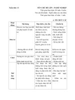 Giáo án tuần 13 ( tuần chính) Chủ đề : Nghề nghiệp