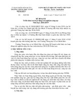 KẾ HOẠCH Triển khai các hoạt động trải nghiệm sáng tạo Năm học: 2018-2019