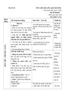 Giáo án tuần 35 chủ đề 