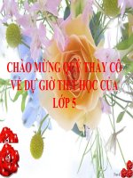 Bài giảng điện tử Tập làm văn - tuần 21: Lập chương trình hoạt động- 5A4