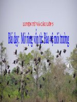 Tuần 12: MRVT bảo vệ môi trường