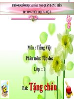 Tiếng Việt 1 - Tuần 25- Tập đọc- Tặng cháu